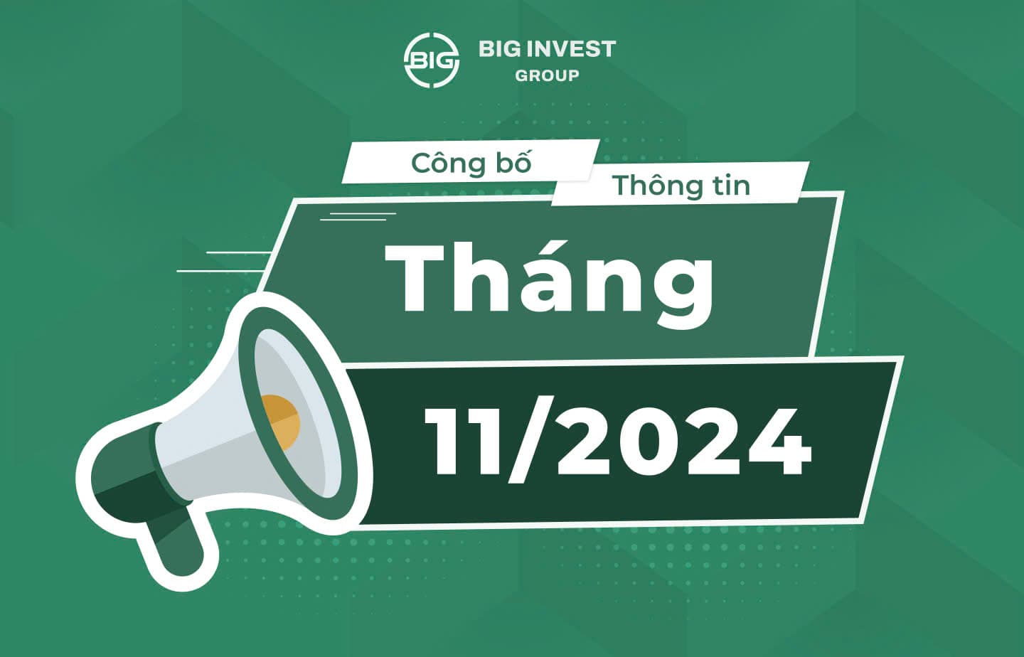 CÔNG BỐ THÔNG TIN CÔNG TY BIG GROUP THÁNG 11/2024