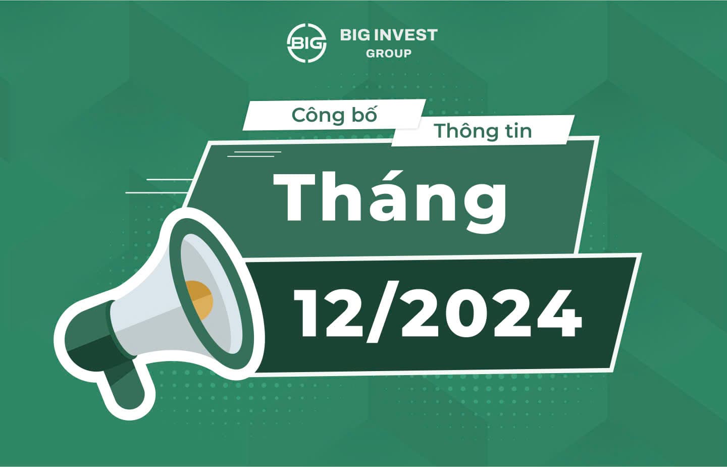 CÔNG BỐ THÔNG TIN CÔNG TY BIG GROUP THÁNG 12/2024